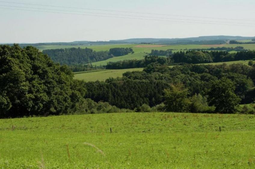 Magnifique Habitation pour 5 adultes - foto 35