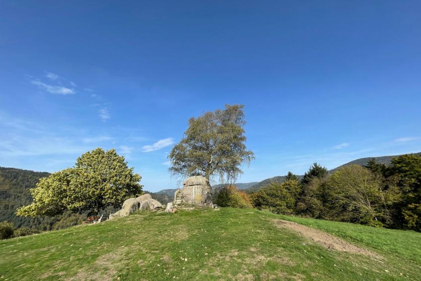 Charmante Wohnung in Bermersbach - foto 8