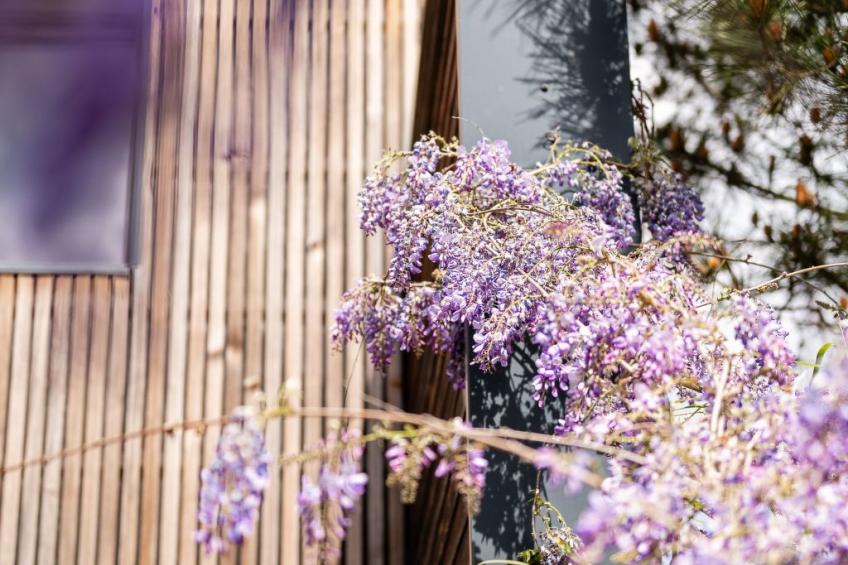 Villa contis plage 900m vom Ozean entfernt - 3 Schlafzimmer