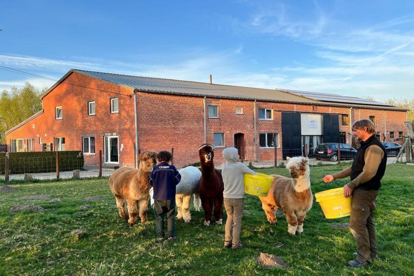 Arends nest - foto 17