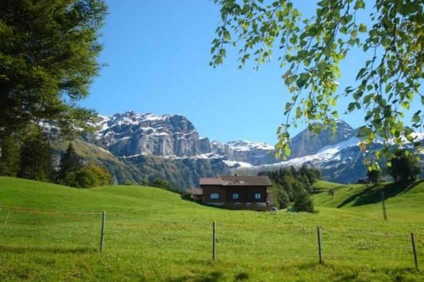 Ferien im grünen rechts - foto 7