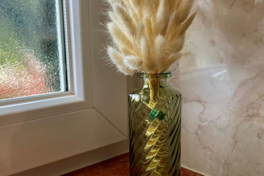 Cesa Vedla DOLOMITES - foto 14