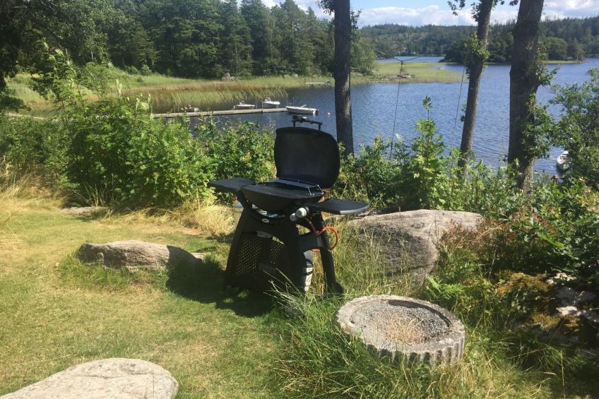 Schwedisches Glück, zwischen Wäldern und einem See - foto 23