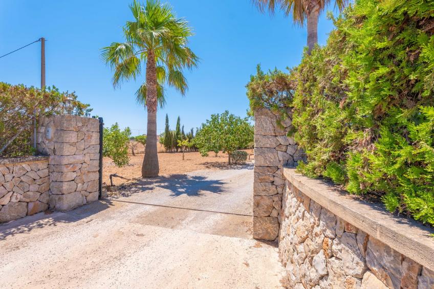 Els Xiprers - foto 30