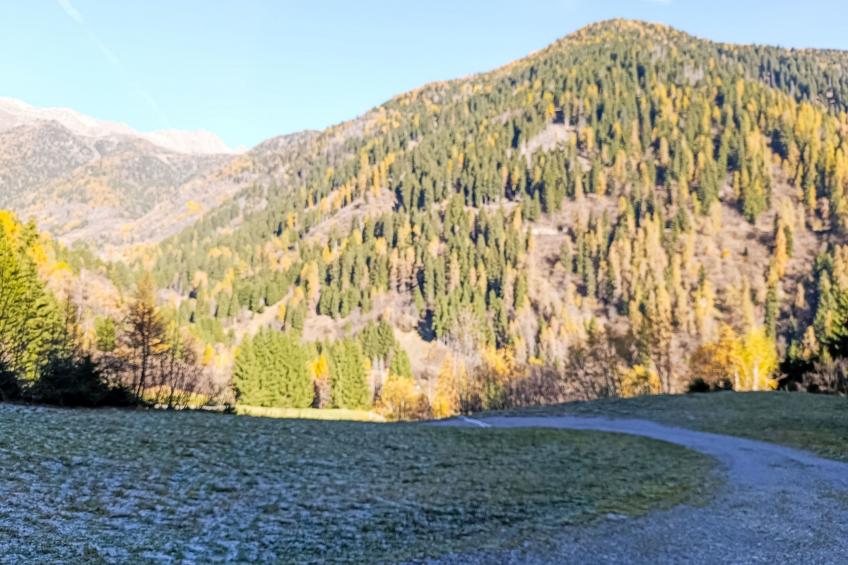 Maset Pozzati - foto 9