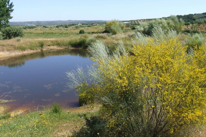 Finca El Chorrillo Studio - foto 32