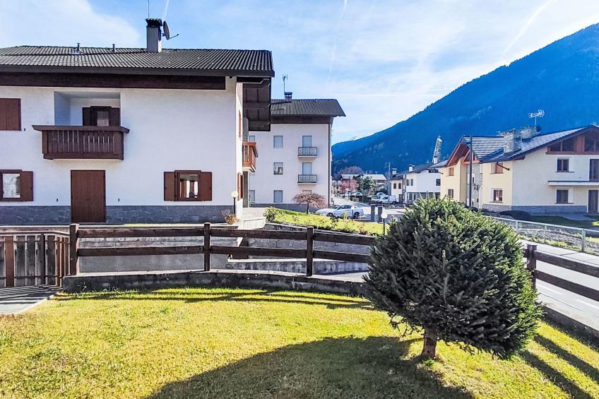 The Silent Sylva - foto 16