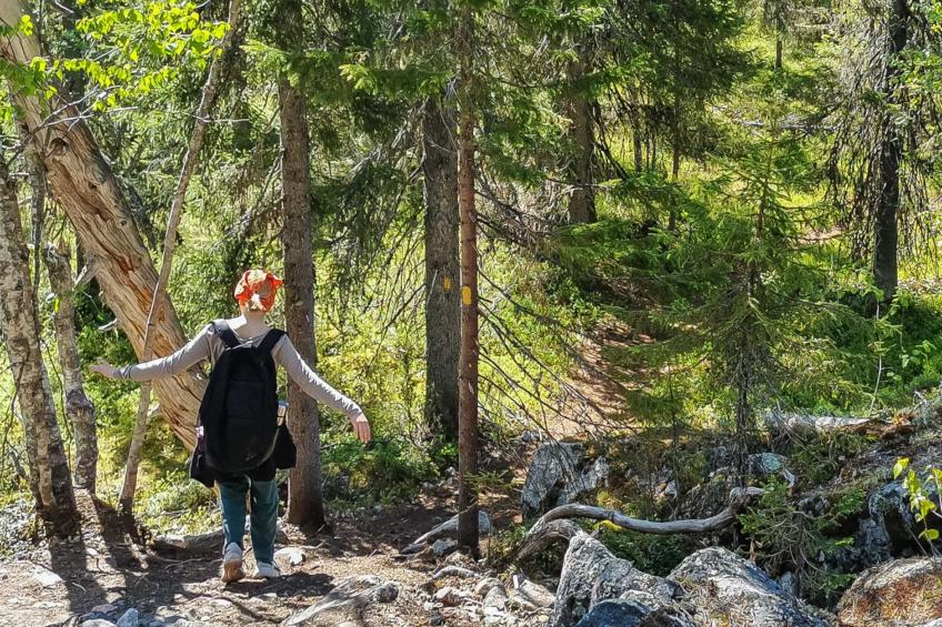 Vilkkuna 20 a - foto 13