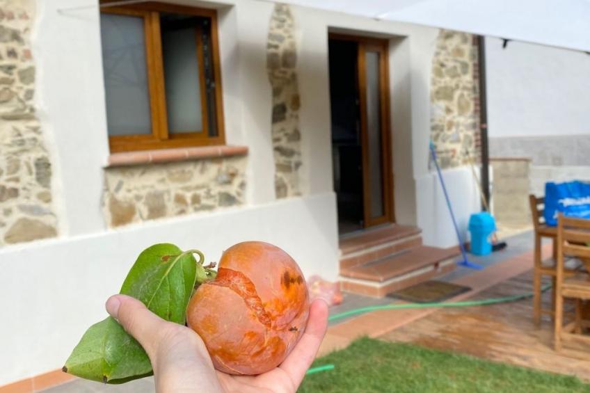 "Giotto" mit Terrasse - foto 8