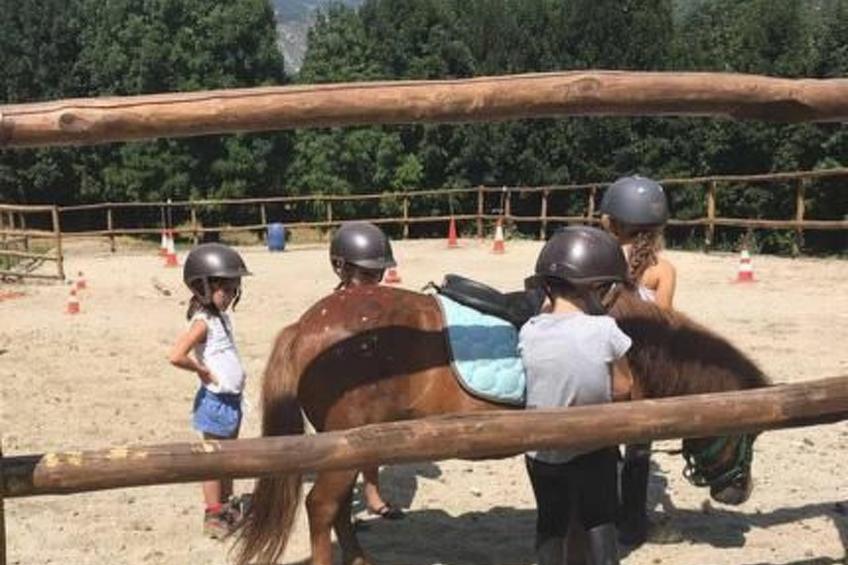 Appartement mit Terrasse - foto 46