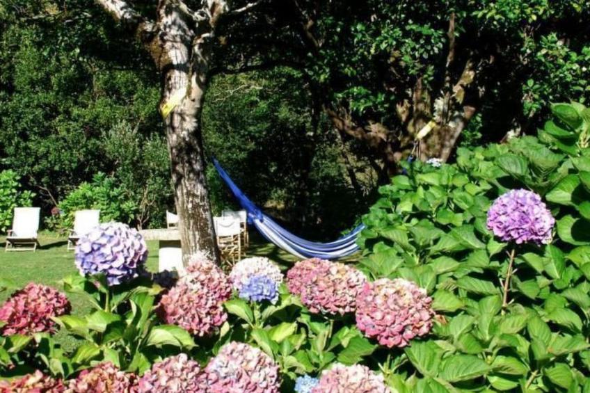 NATUR IN IHRER REINSTEN FORM - foto 26