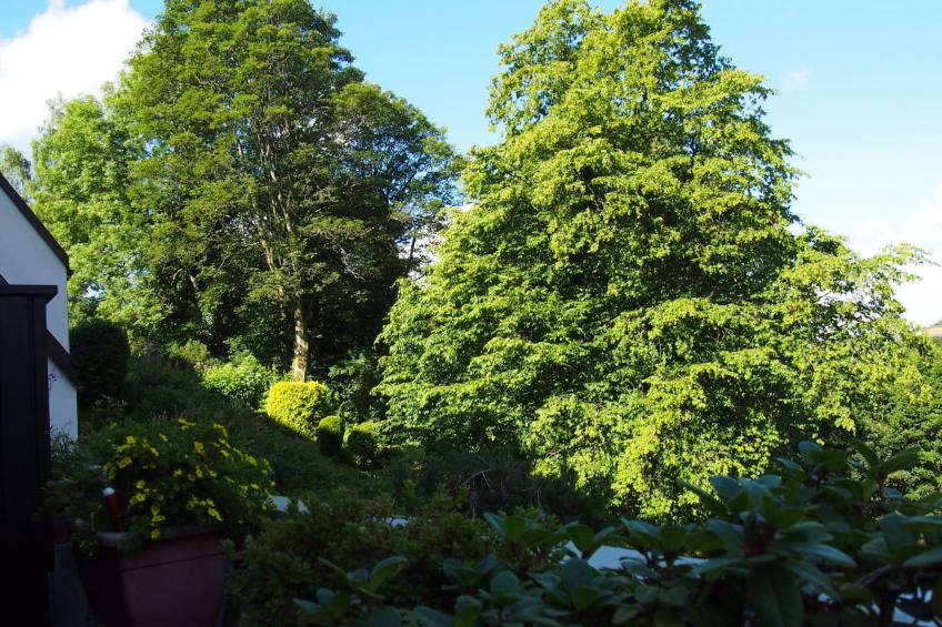 Gesamte Wohnung in Sankt Andreasberg mit Grill - foto 16