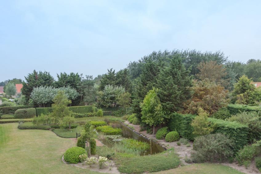 Green Garden VIII - 105 - foto 16