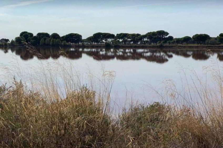 CAP CAMARGUE A N°08 - 2P4 - foto 30