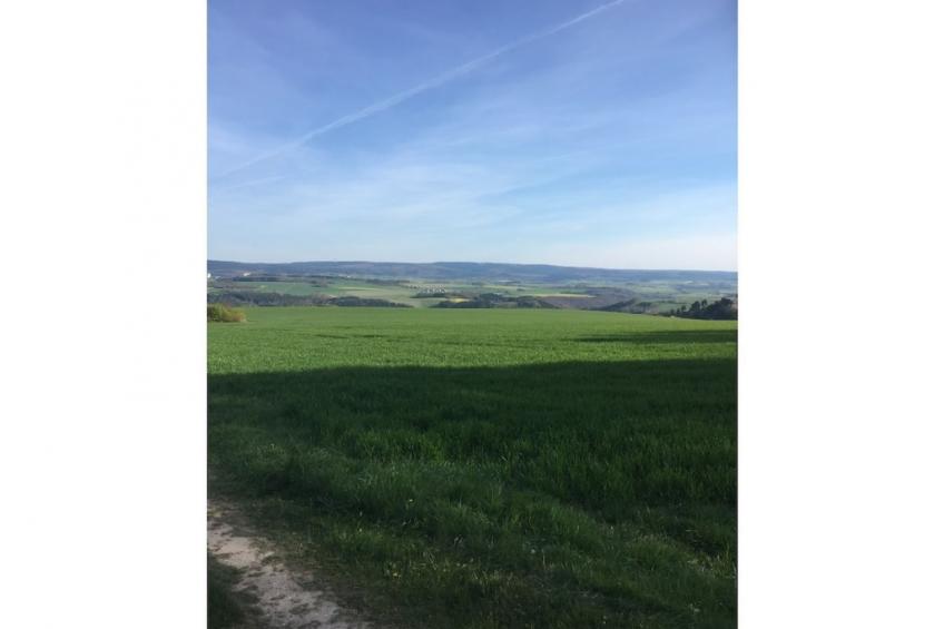 142570 - foto 30