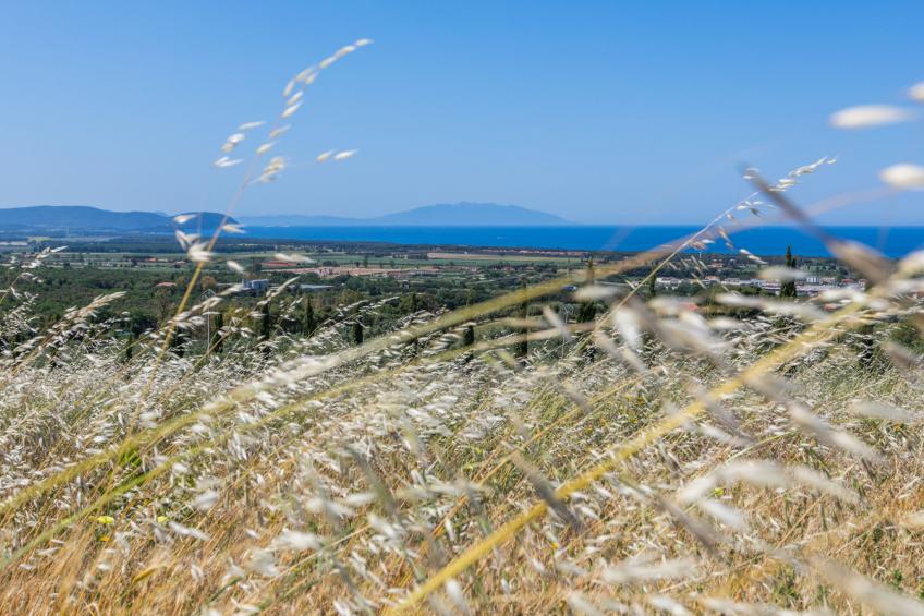 Agriturismo Il Corbezzolo (SVC150) - foto 41