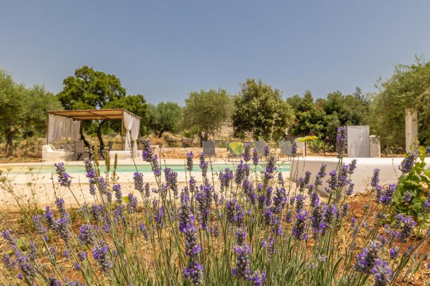 Trullo Sophie - foto 24