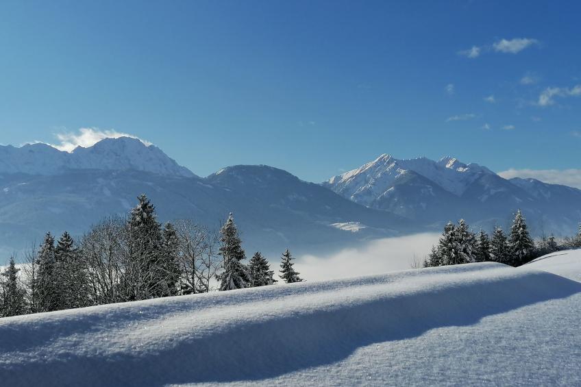 Waldblick in Steinfeld - foto 5