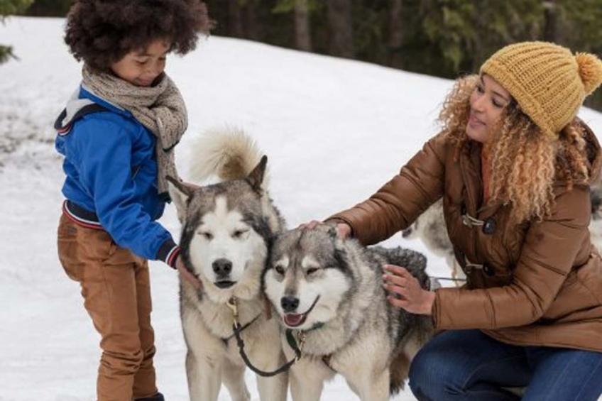 Le Britania - foto 21