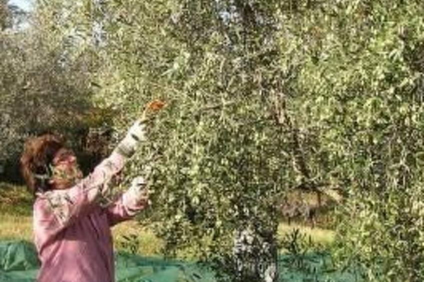 Ihr Zuhause in der Ferne - foto 17