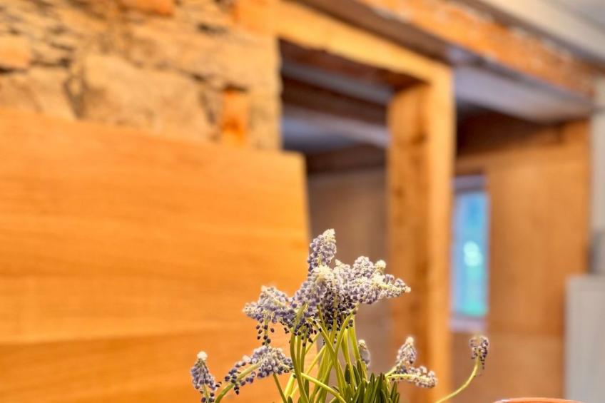 NEU!   dasErbhaus - foto 18