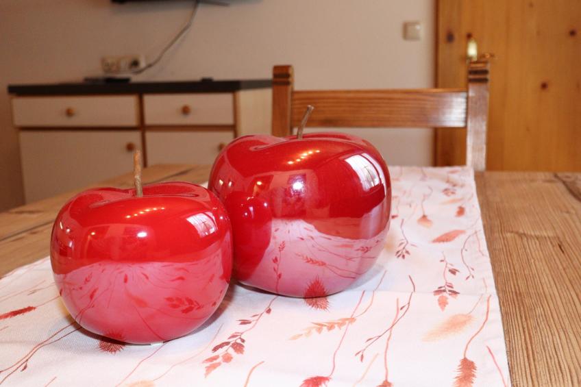 Appartementhaus Mario, See im Paznauntal - foto 15