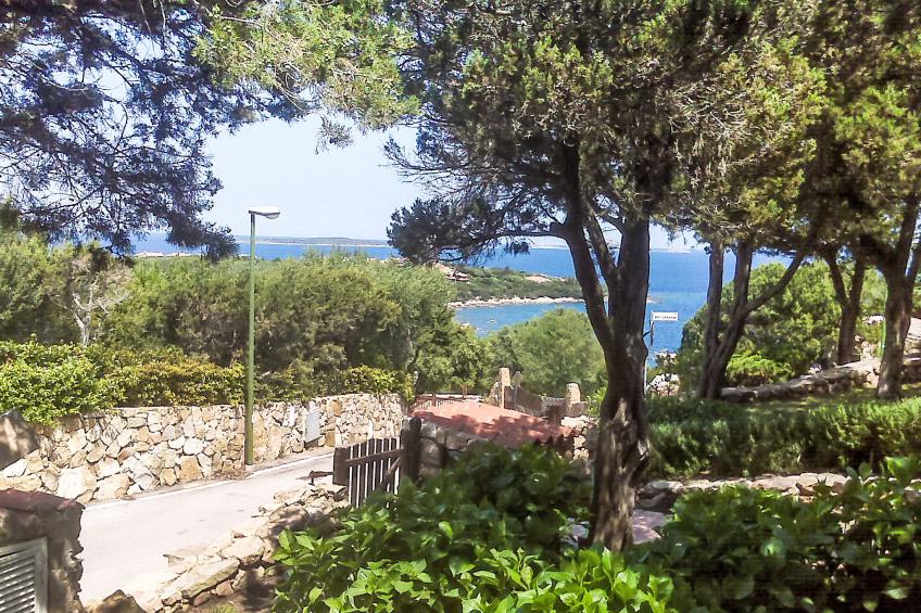 Ippocampo - foto 15