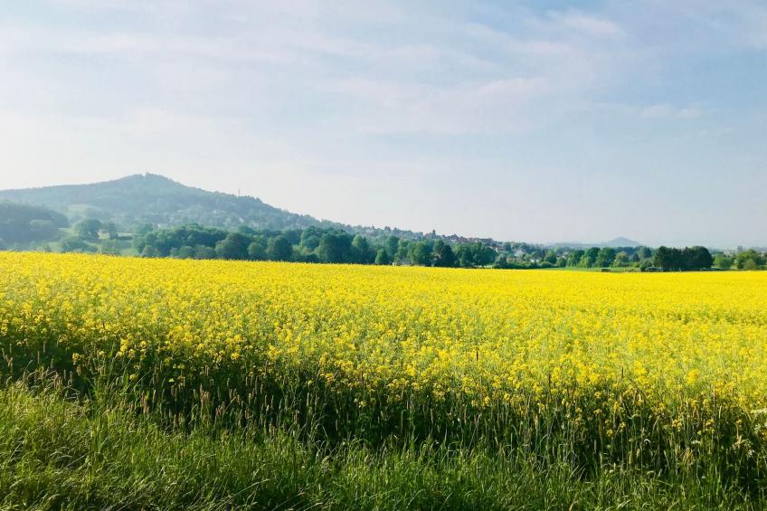 Fewo Slepitzka - foto 42