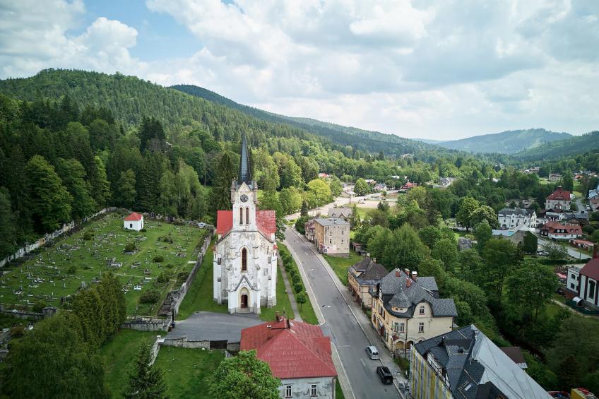 Forest line - foto 32