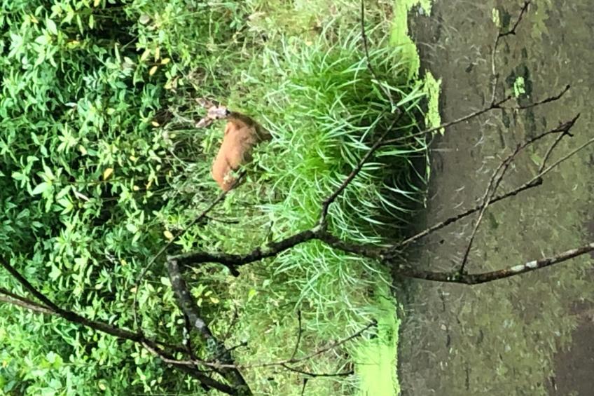 Urbane Remise - foto 29