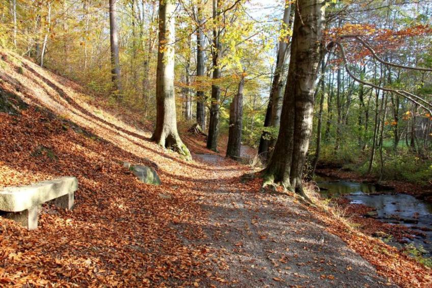 Zum Erzgebirge - foto 34