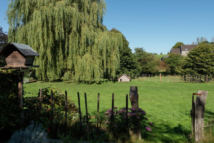 L'Escarlotte - foto 30