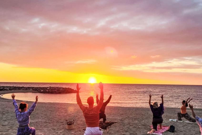 Les Moineaux - foto 30