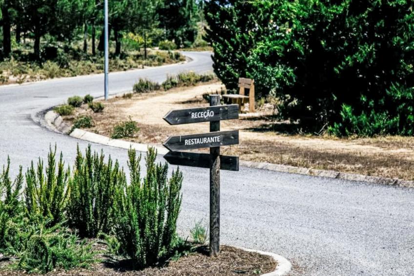 Herdade de Montalvo - foto 22