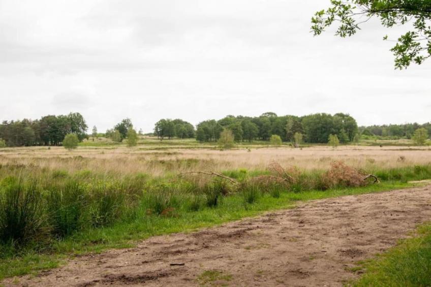 Hoenderloo - Bosvilla - foto 38