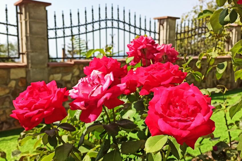 Familienvilla mit Meerblick "Arode Villa Ovid" - foto 39