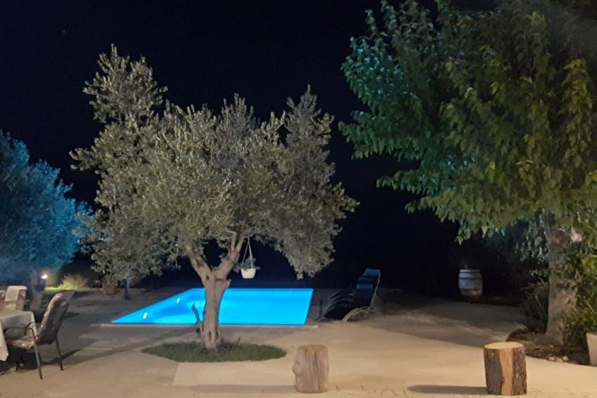 AQUA mit Pool - foto 43