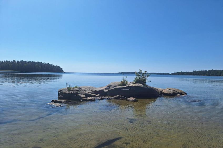 BF-FYR23 - foto 16