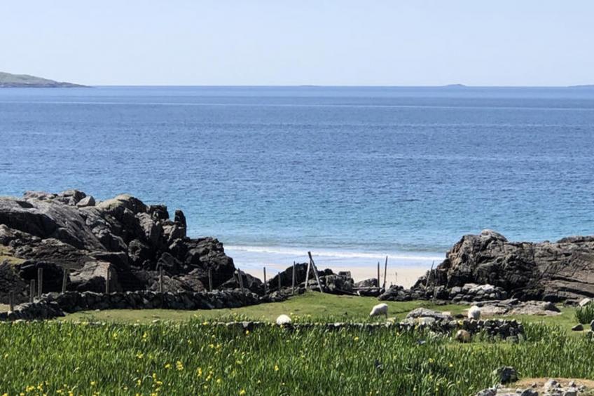 Mobil Home - Bungalow - Cottage à Roundstone Galway - foto 31