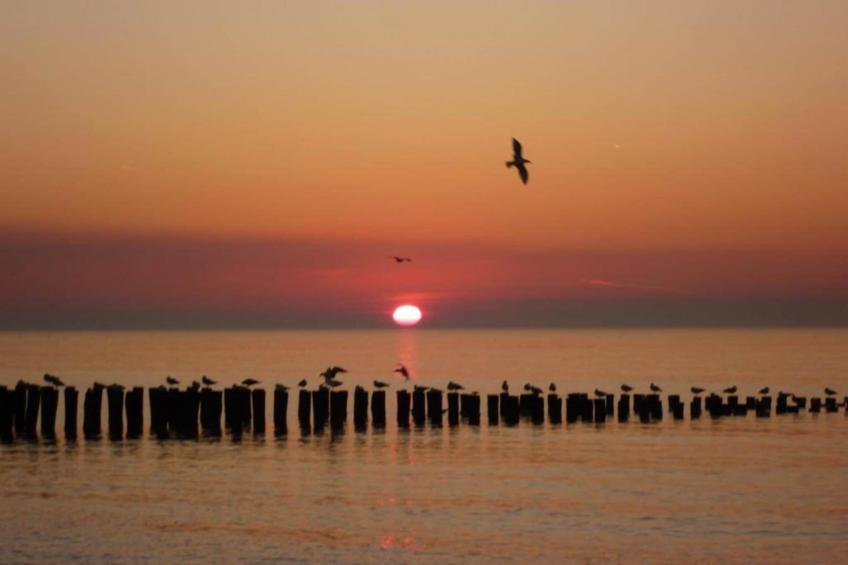 Résidence Wijngaerde - foto 31