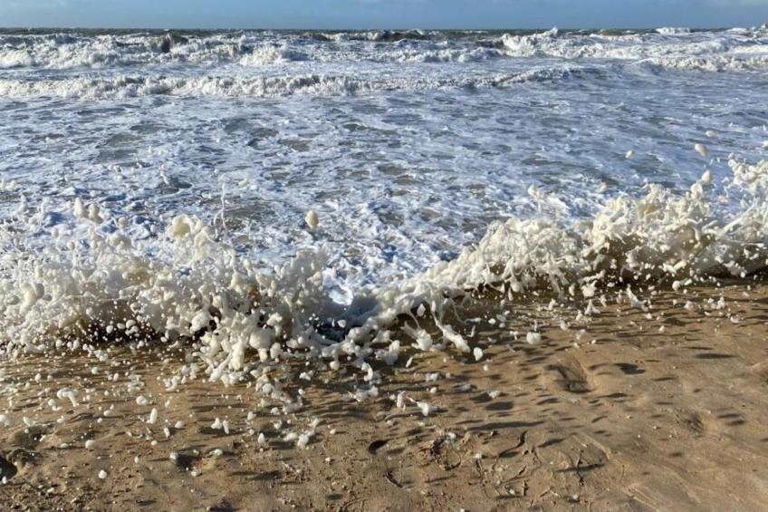 New Helmond - foto 31