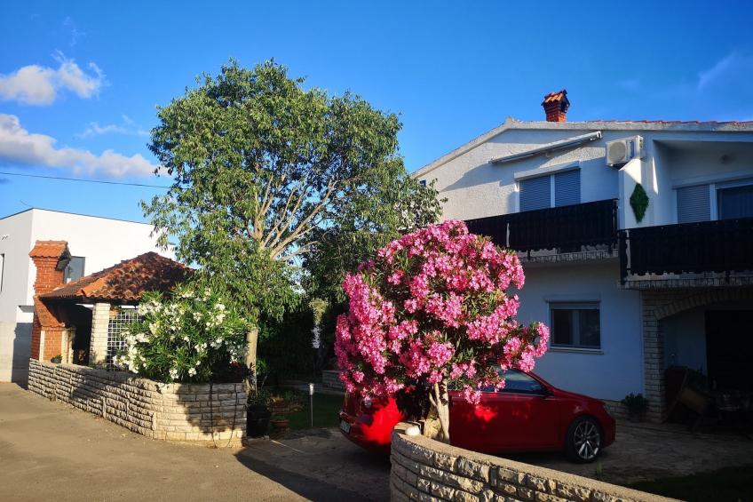 Apartments Snježana Carev  - Studio Apartment with Terrace A-1 - foto 23