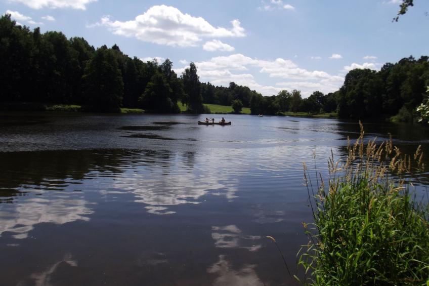 Heidebungalow - foto 38