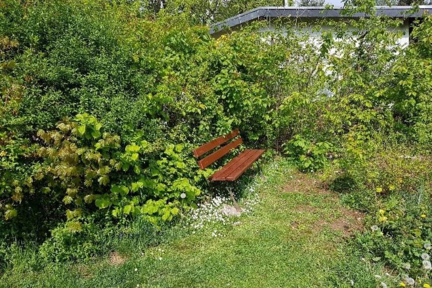 Buchengrund - foto 21