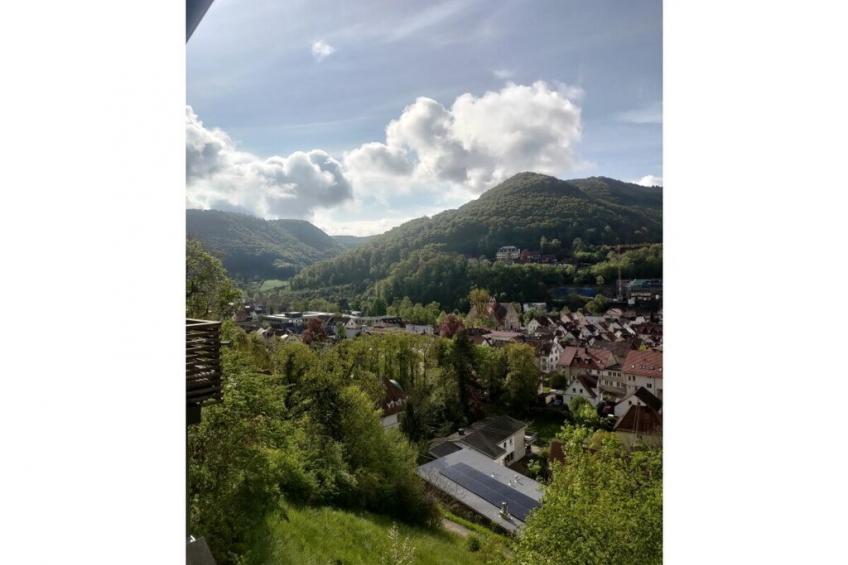 465833 - foto 3