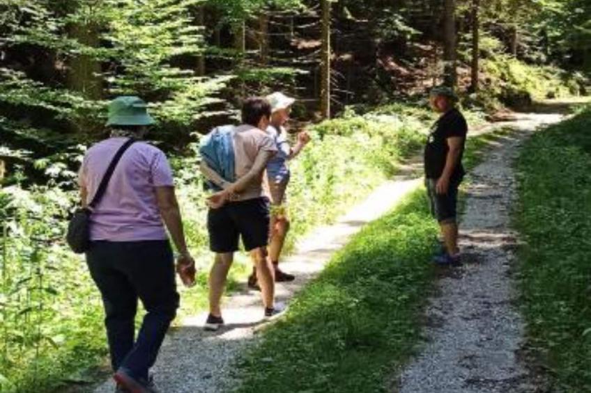 Holiday Apartment Vuković - Three Bedroom Holiday Home With Terrace - foto 36