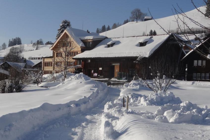 Hof Bommes - foto 16