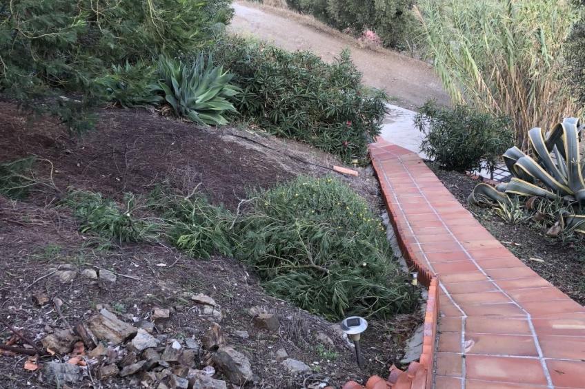 Finca "La Estrella de Cómpeta". - foto 22