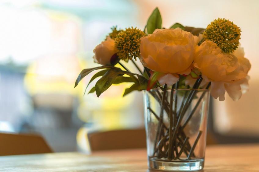 Poolhaus 140 qm|Poolhaus 140 qm - foto 37