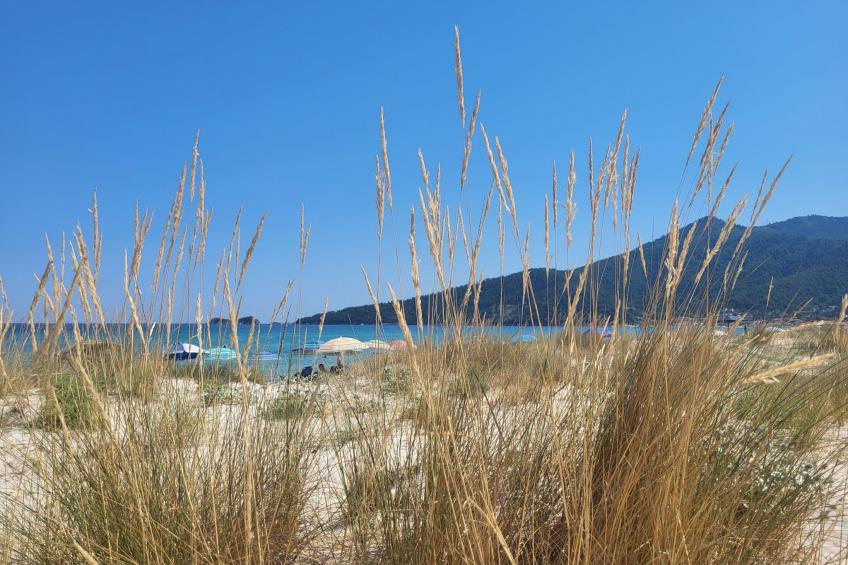 Strandnahes Ferienhaus mit privatem Garten - foto 6